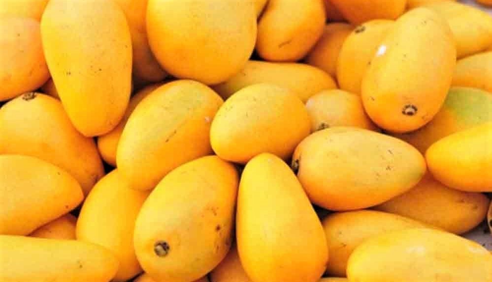 Mangoes