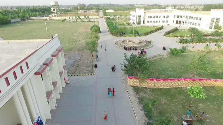 University of Okara