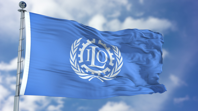 International Labour Organization ILO Waving Flag