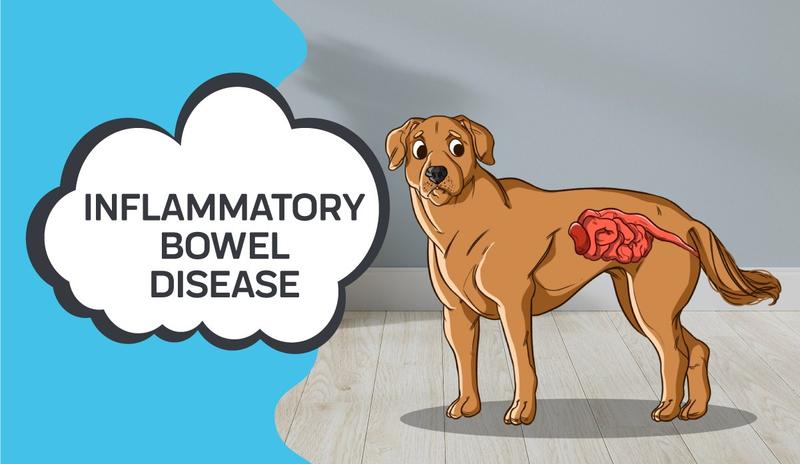 Inflammatory Bowel Disease