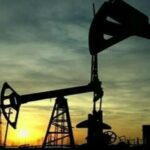 Oil
