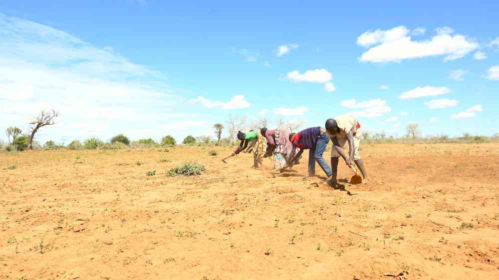 El Niño threatens new humanitarian crisis across the Horn of Africa