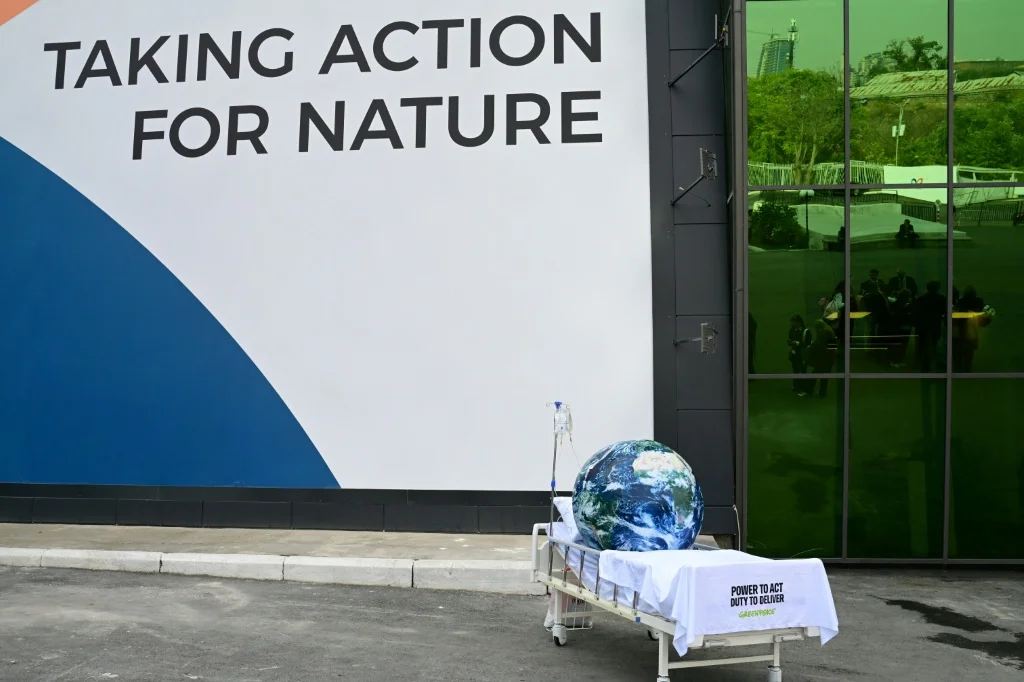 $2.4 trillion in harmful subsidies: UN summit struggles to save nature